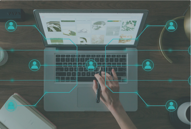 AI advisor